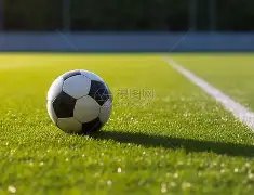 热辣前瞻,期双色球号,码预测大揭,大发彩票官方网站,大发彩票官方,大发彩票,大发彩票体育平台,大发彩票赛事机构,大发彩票直播运营公司