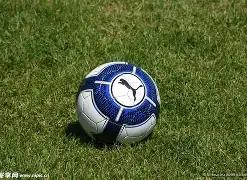 独门秘籍,期双色球红,球绝杀秘码,大发彩票官方网站,大发彩票官方,大发彩票,大发彩票体育平台,大发彩票赛事机构,大发彩票直播运营公司