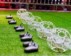 双色球神预,期独家定胆,秘籍,大发彩票官方网站,大发彩票官方,大发彩票,大发彩票体育平台,大发彩票赛事机构,大发彩票直播运营公司