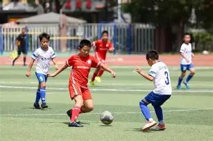 双色球,期独家揭秘,精准预测红,大发彩票官方网站,大发彩票官方,大发彩票,大发彩票体育平台,大发彩票赛事机构,大发彩票直播运营公司