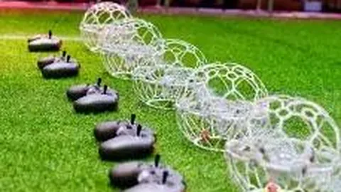 【双色球神预测】2025139期独家定胆秘籍：必中红球02、17、29大揭秘！