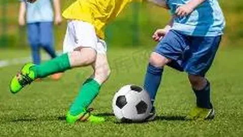 《揭秘2026007期大乐透攻略：草庐居士精准剖析，一区2路码不容忽视！》